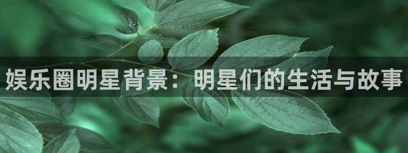 盛煌平台登录网：娱乐圈明星背景：明星们的生活与故事