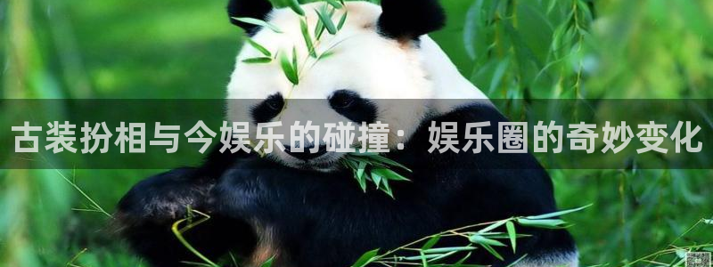 盛煌平台麻将胡了：古装扮相与今娱乐的碰撞：娱乐圈的奇妙变化