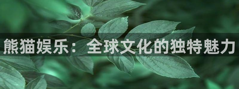 南宫盛煌平台官网版：熊猫娱乐：全球文化的独特魅力