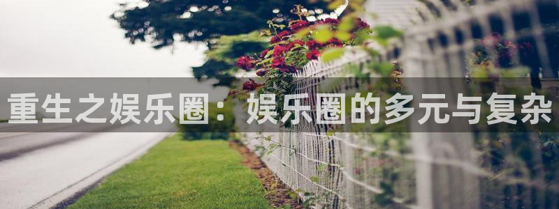 盛煌平台体育凯捷平台主管：重生之娱乐圈：娱乐圈的多元与复杂