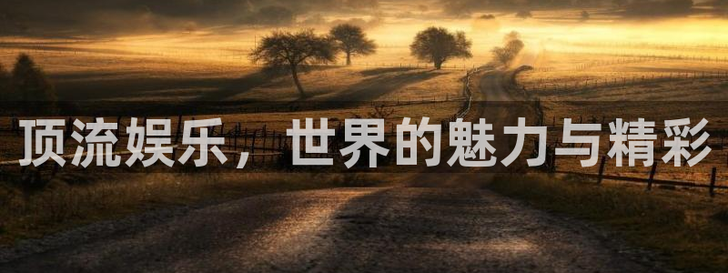 盛煌平台电子游戏网页版：顶流娱乐，世界的魅力与精彩