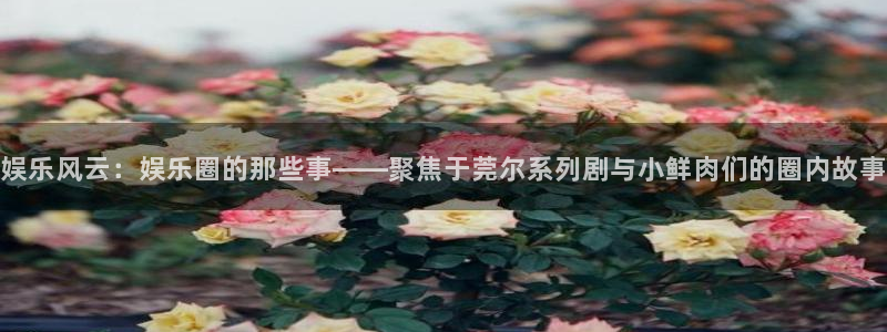 盛煌平台体育官网：娱乐风云：娱乐圈的那些事——聚焦于莞尔系列剧与小鲜肉们的圈内故