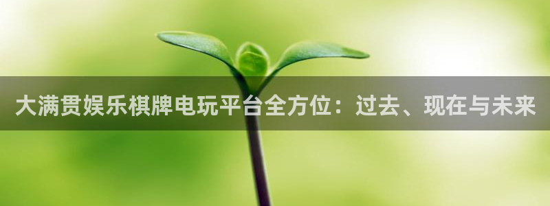 盛煌平台分红代理计划：大满贯娱乐棋牌电玩平台全方位：过去、现在与未来