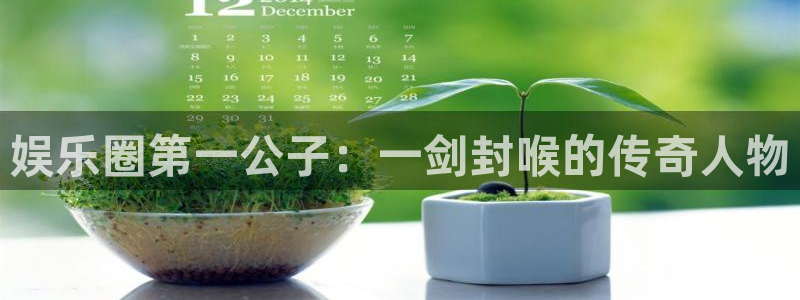 盛煌平台体育3：娱乐圈第一公子：一剑封喉的传奇人物