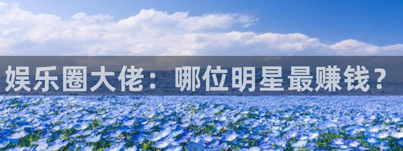 盛煌平台pg：娱乐圈大佬：哪位明星最赚钱？
