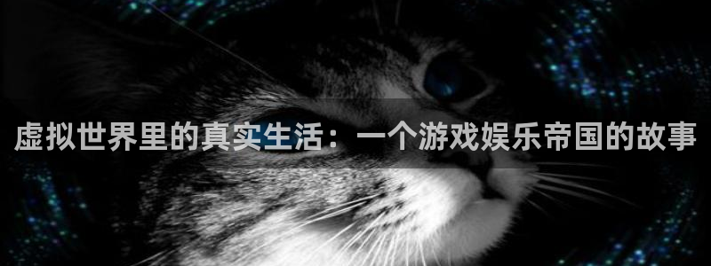 盛煌平台体育凯捷代理注册：虚拟世界里的真实生活：一个游戏娱乐帝国的故事