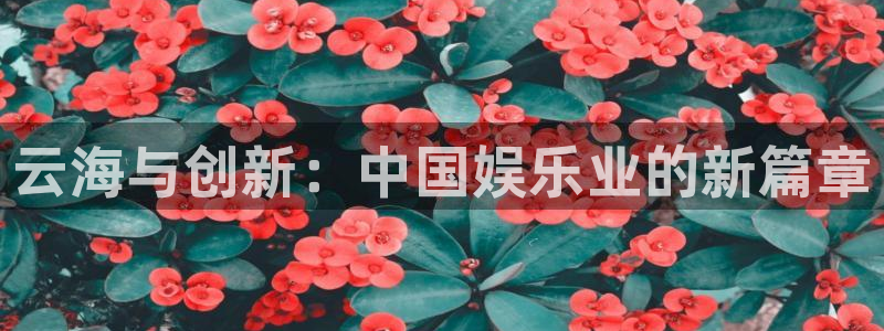 盛煌平台pg：云海与创新：中国娱乐业的新篇章