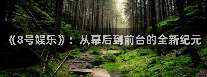 盛煌平台是大平台吗：《8号娱乐》：从幕后到前台的全新纪元