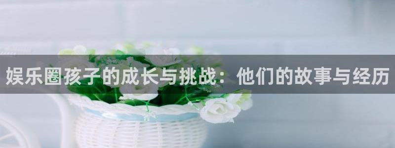 盛煌平台是大平台吗：娱乐圈孩子的成长与挑战：他们的故事与经历