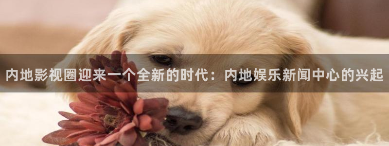 盛煌平台手机版下载：内地影视圈迎来一个全新的时代：内地娱乐新闻中心的兴起