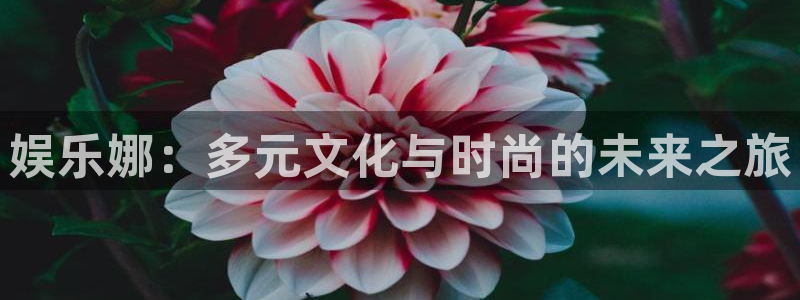 盛煌平台游戏官网平台：娱乐娜：多元文化与时尚的未来之旅