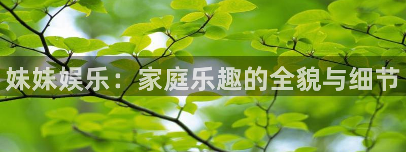盛煌平台体育在线注册：妹妹娱乐：家庭乐趣的全貌与细节