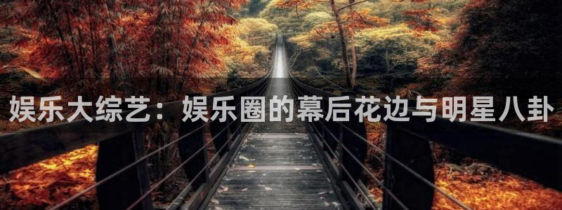 上海盛煌平台汽车电子有限公司：娱乐大综艺：娱乐圈的幕后花边与明星八卦