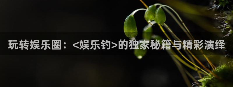 盛煌平台.com：玩转娱乐圈：<娱乐钓>的独家秘籍与精彩演绎