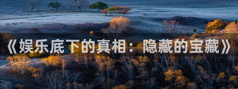 盛煌平台app哪个模式容易赢：《娱乐底下的真相：隐藏的宝藏》