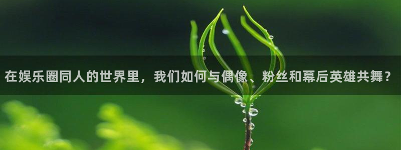 盛煌平台官网地址：在娱乐圈同人的世界里，我们如何与偶像、粉丝和幕后英雄共舞？