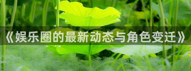 盛煌平台平台开户链接：《娱乐圈的最新动态与角色变迁》