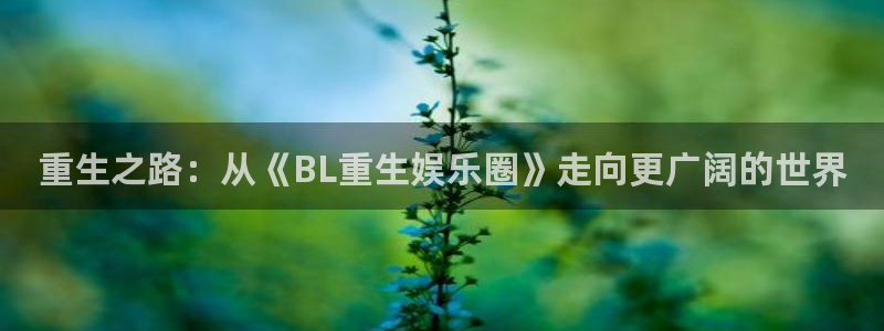 盛煌平台娱乐：重生之路：从《BL重生娱乐圈》走向更广阔的世界